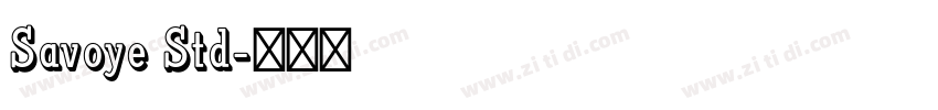 Savoye Std字体转换